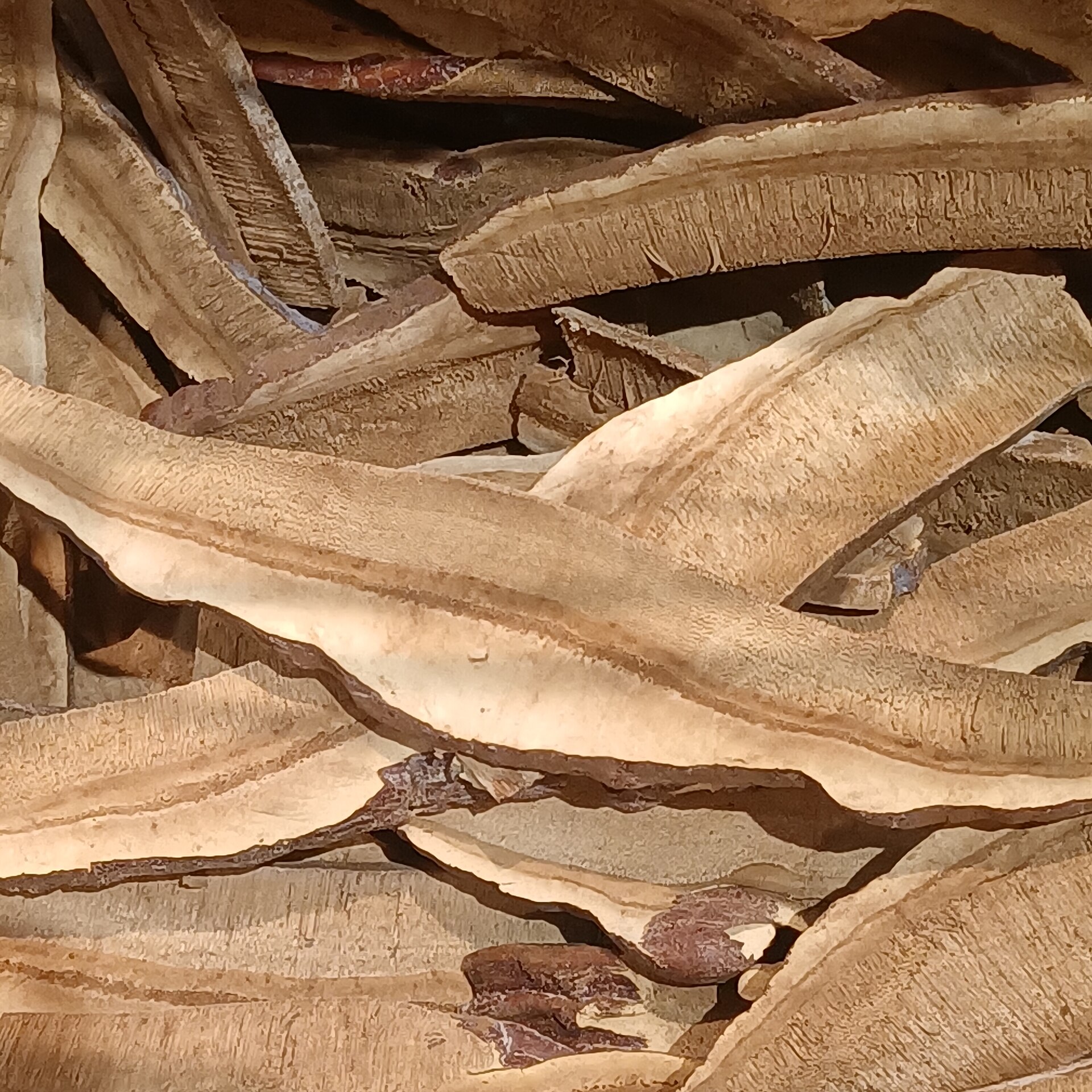 Dried, sliced Red Reishi mushroom